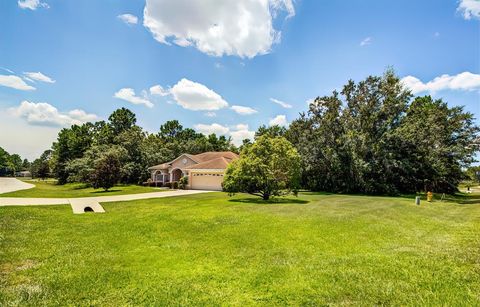 A home in HOMOSASSA