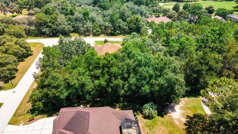 A home in HOMOSASSA