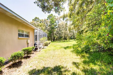 A home in HOMOSASSA