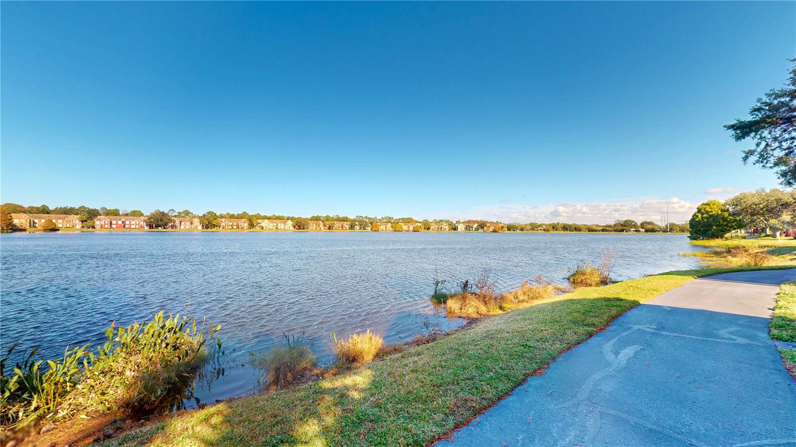 LAKE CHASE CONDO - Residential