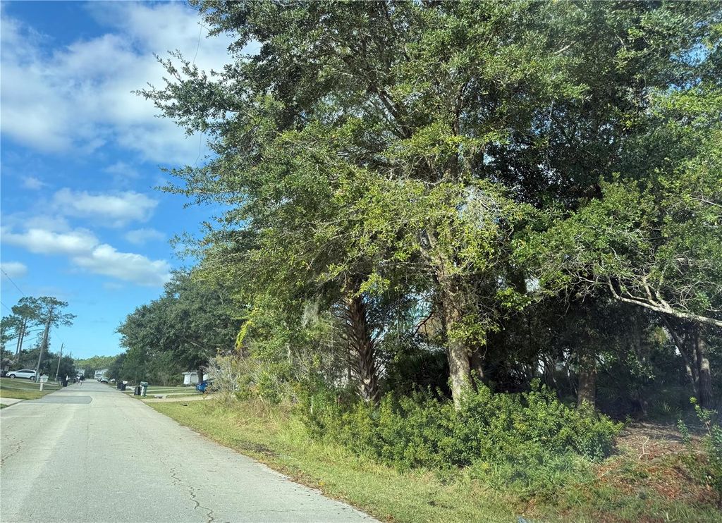 Photo of 45 Wood Acre Lane, Palm Coast, FL 32164 (MLS # FC314604)