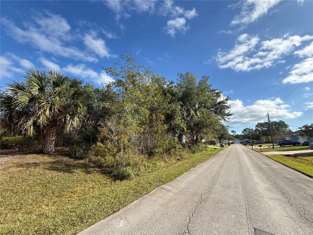Photo of 45 Wood Acre Lane, Palm Coast, FL 32164 (MLS # FC314604)