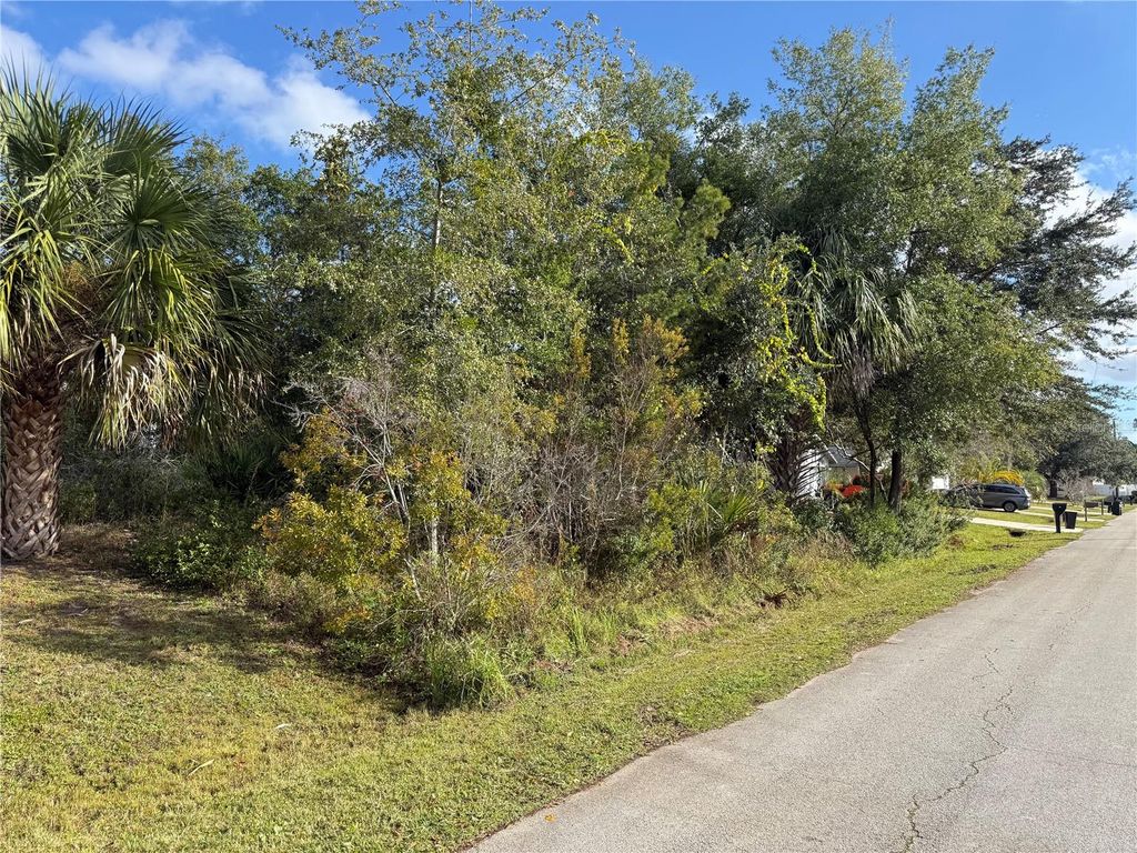 Photo of 45 Wood Acre Lane, Palm Coast, FL 32164 (MLS # FC314604)