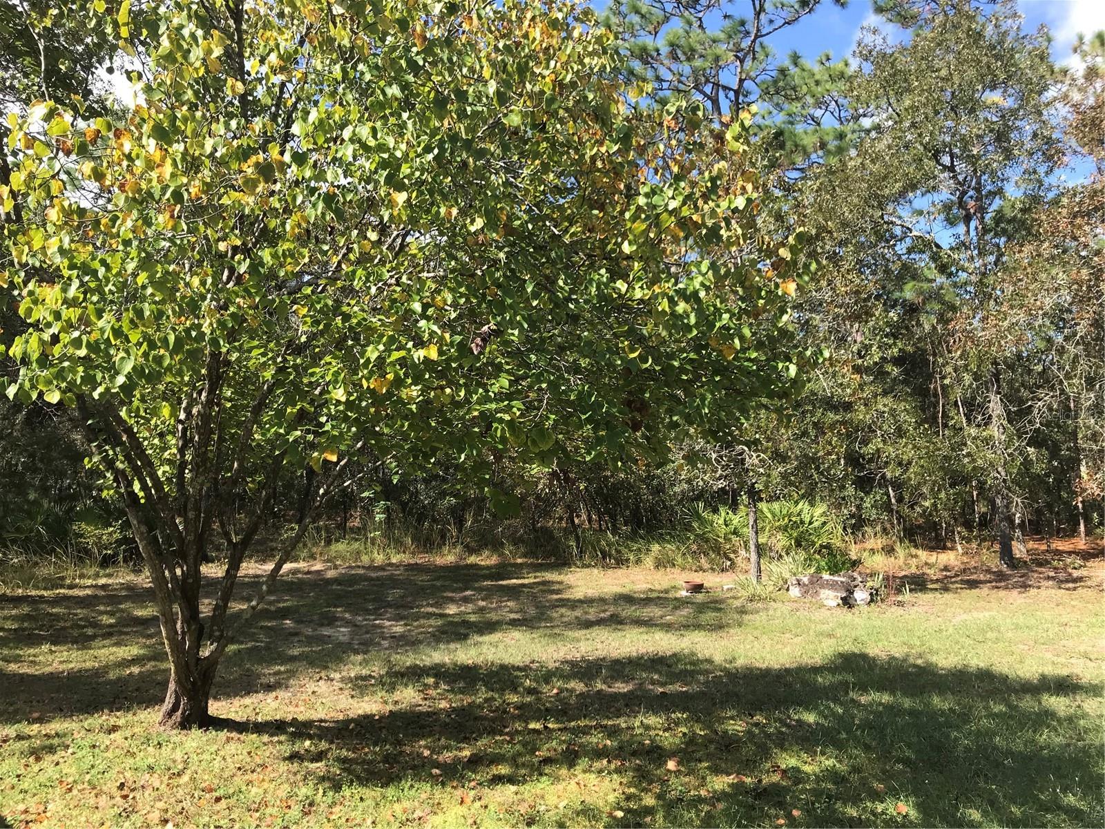 SUGARMILL WOODS CYPRESS VILLAGE - Residential