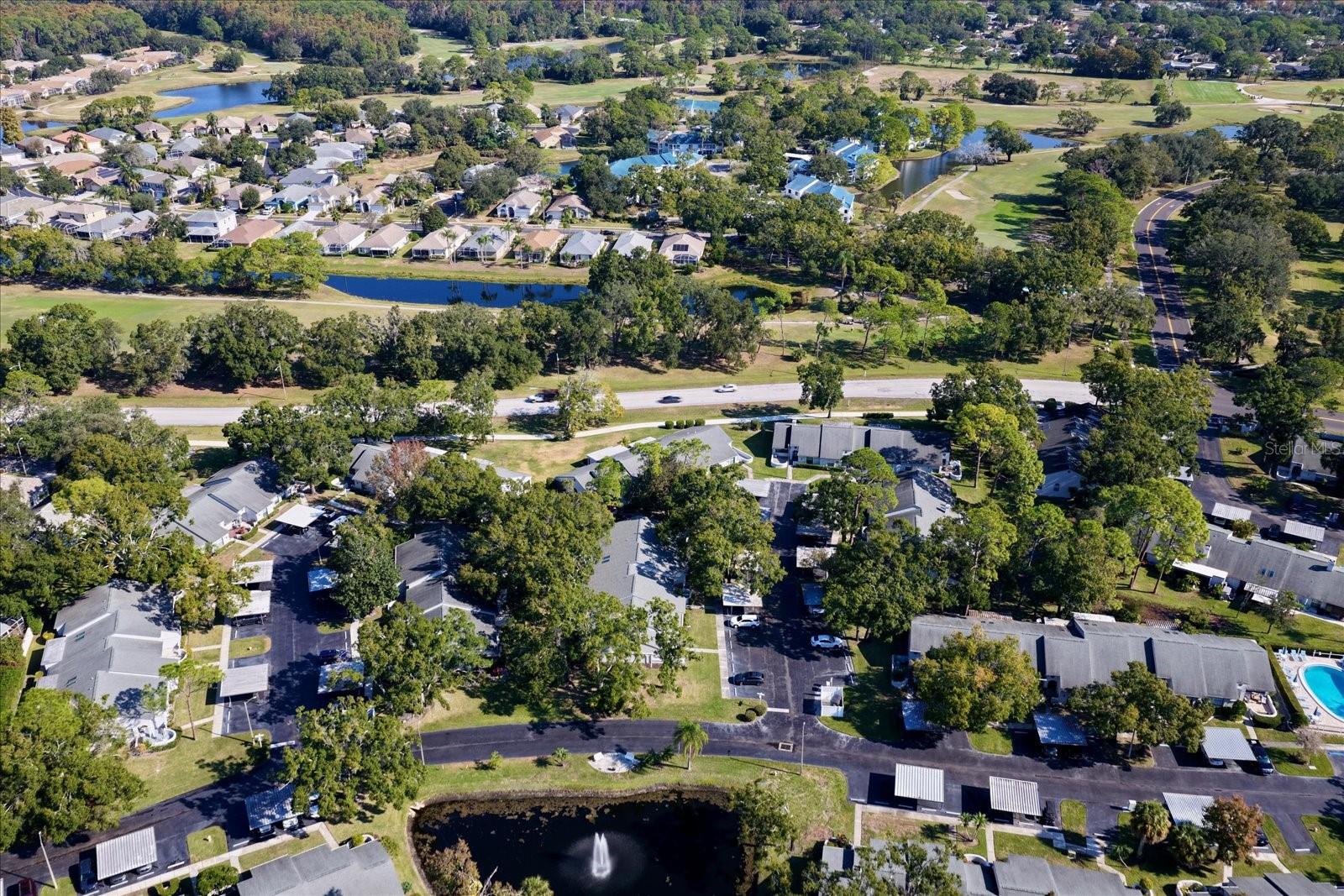 CLEARING THE - Residential