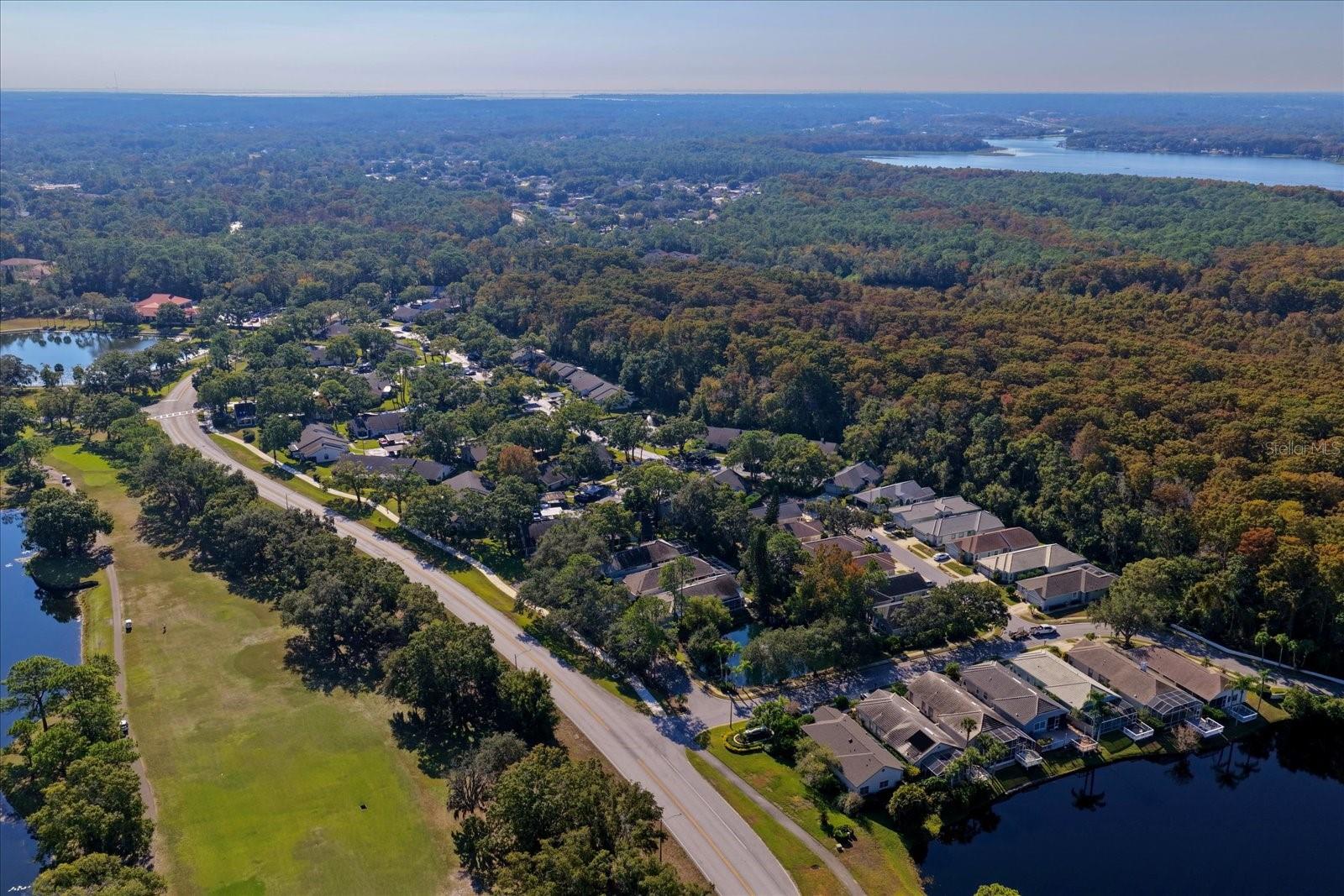 CLEARING THE - Residential