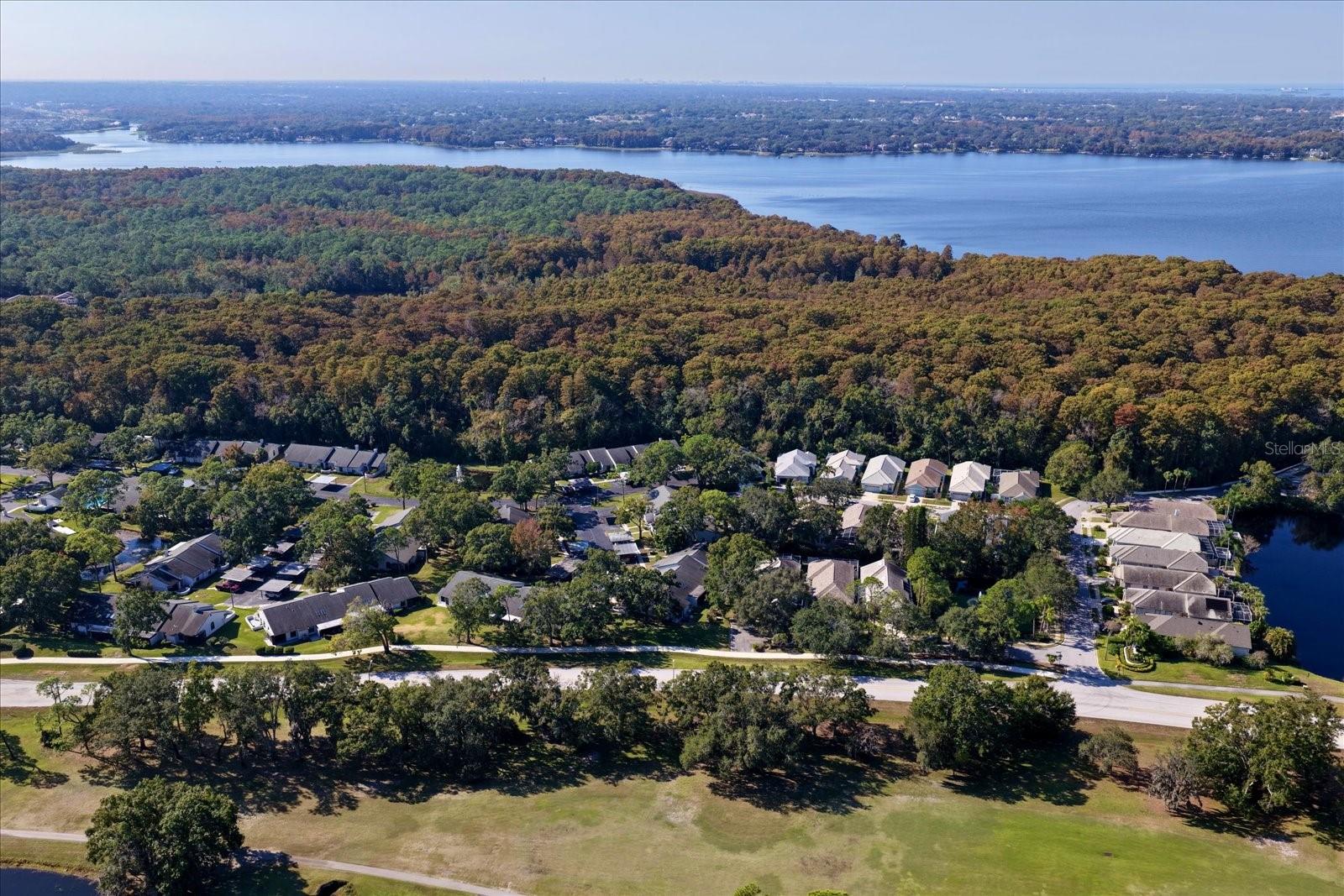 CLEARING THE - Residential