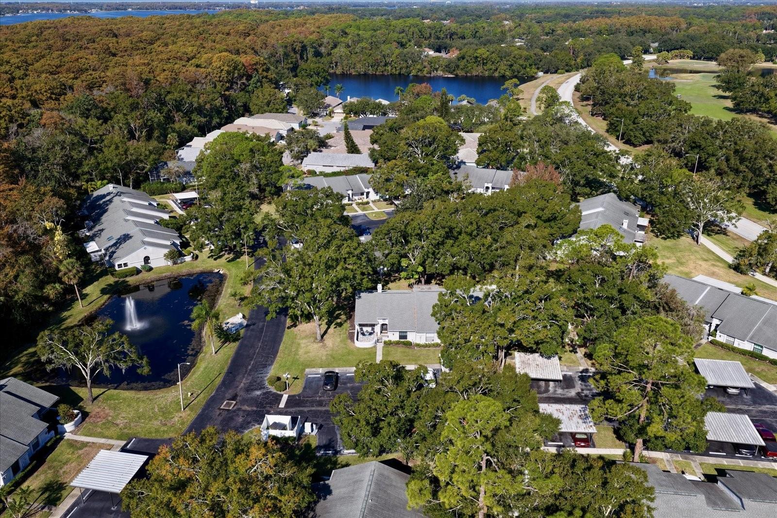 CLEARING THE - Residential