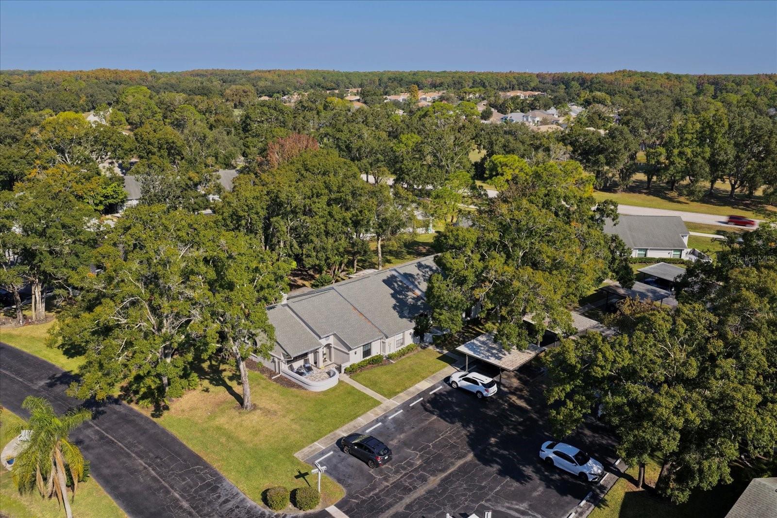 CLEARING THE - Residential