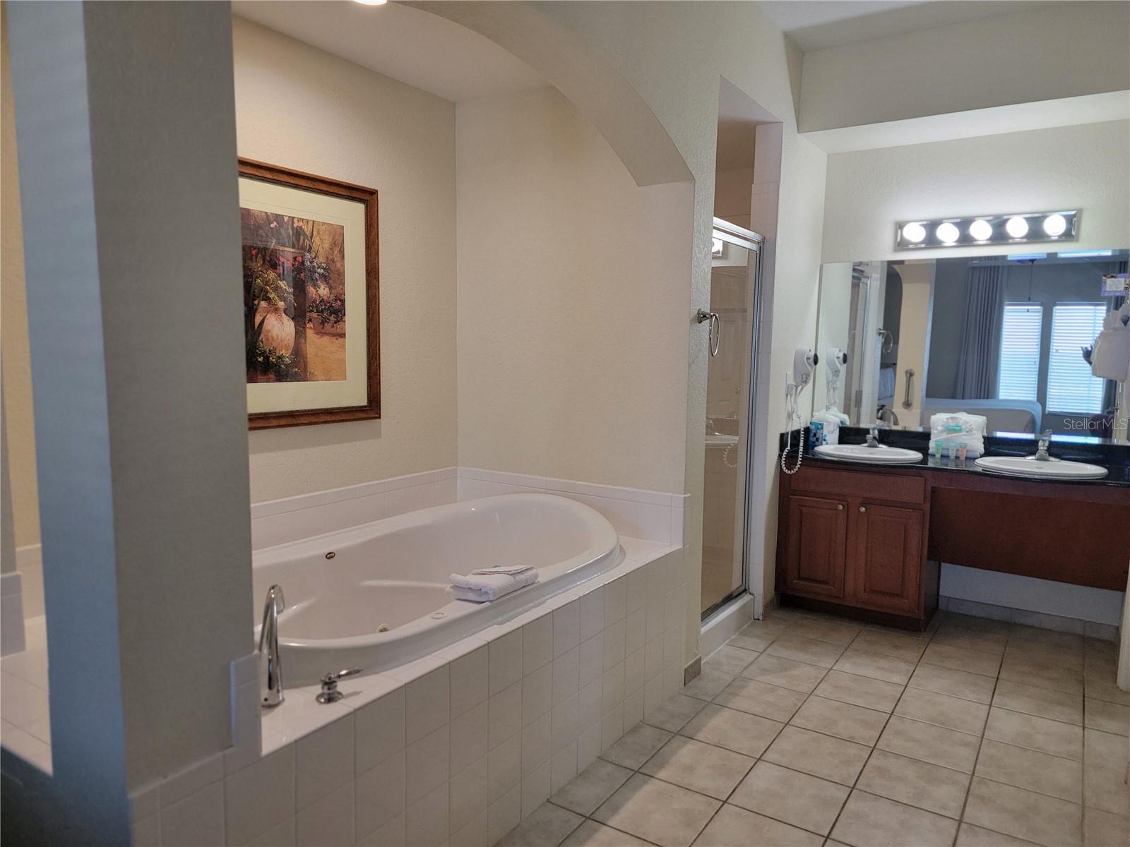 LAKE BUENA VISTA RESORT VILLAGE 2 CONDO - Residential