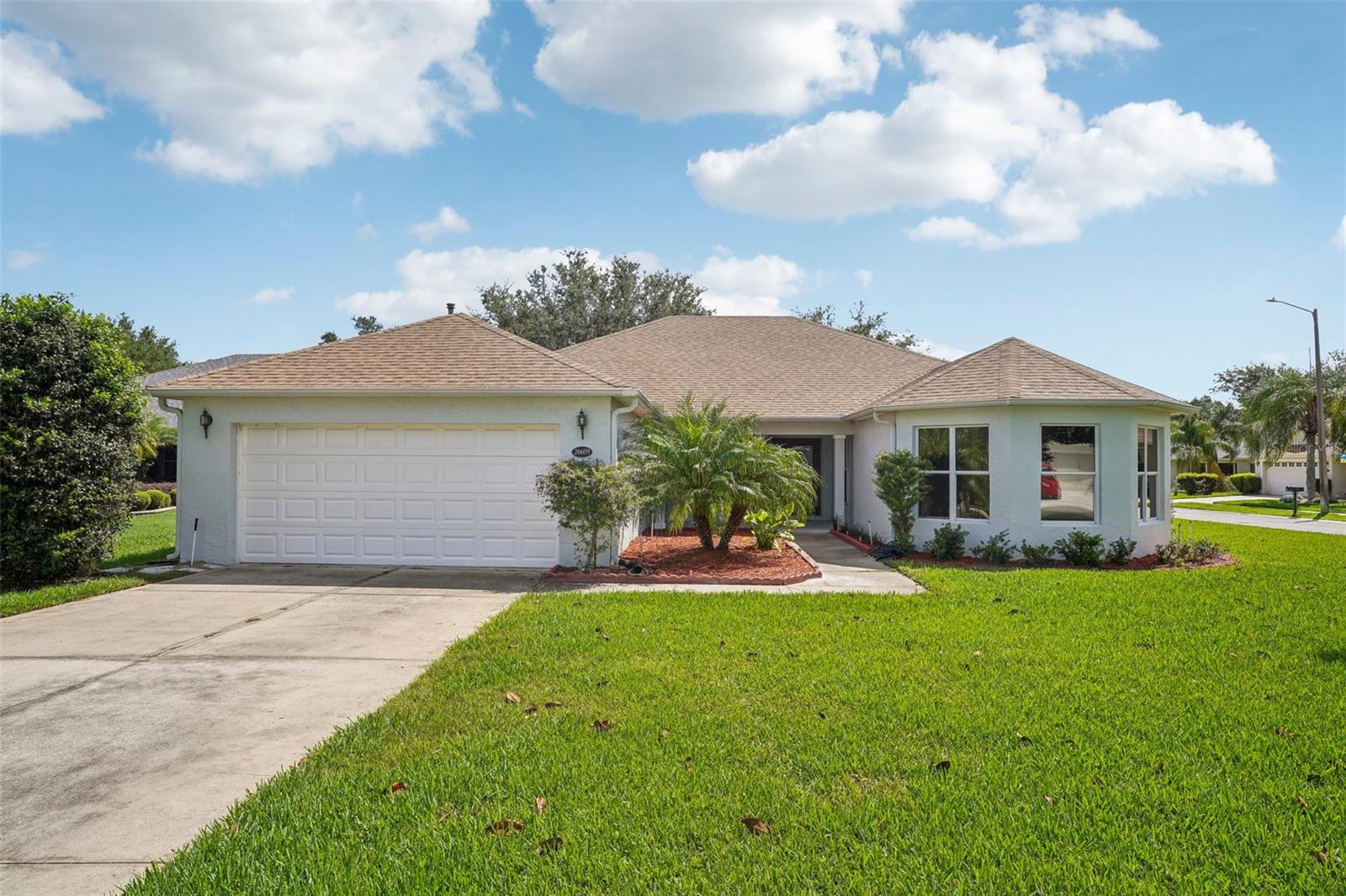 26609 BULL RUN