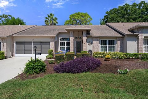 A home in SPRING HILL