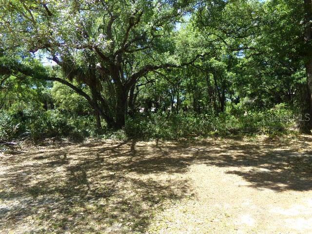 CHURCH ARBOR CONDO - Residential