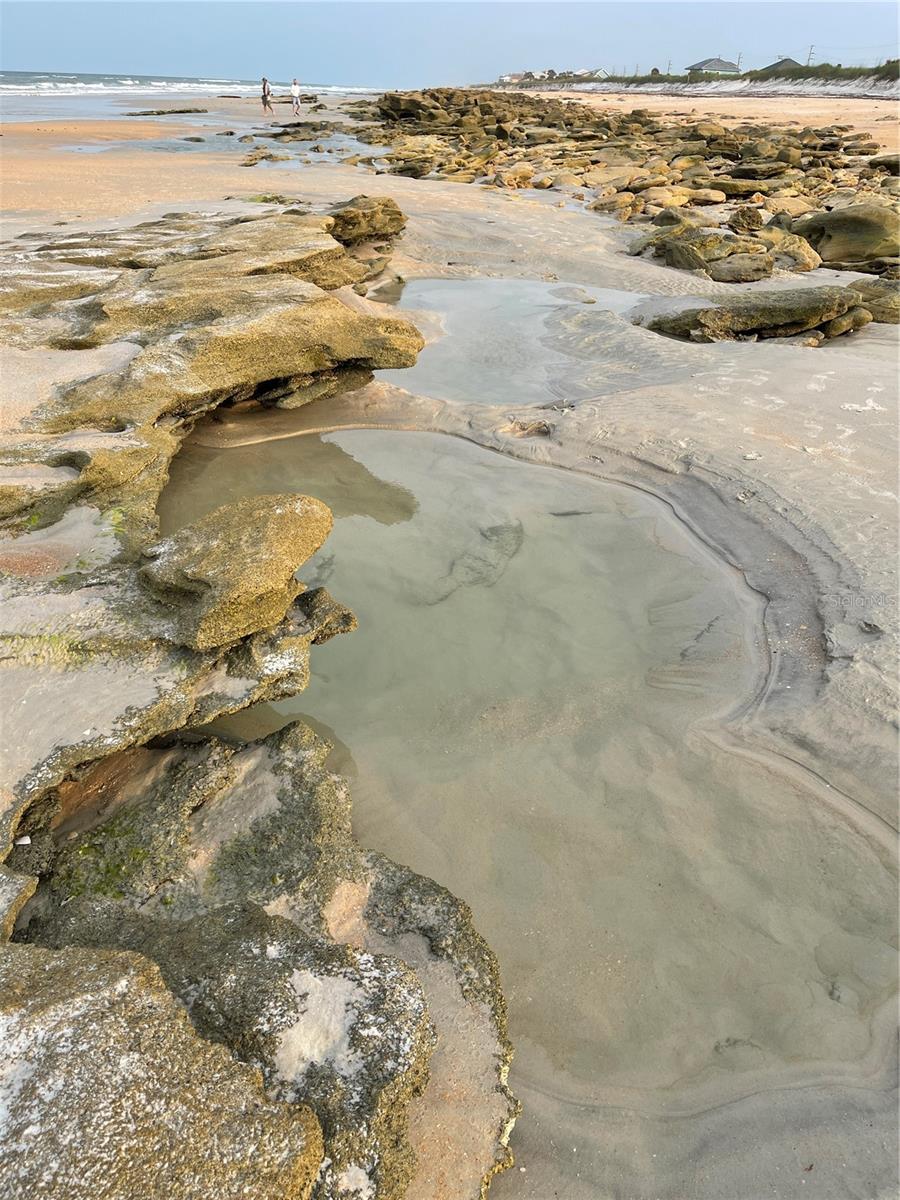 MARITIME ESTATES II - Residential