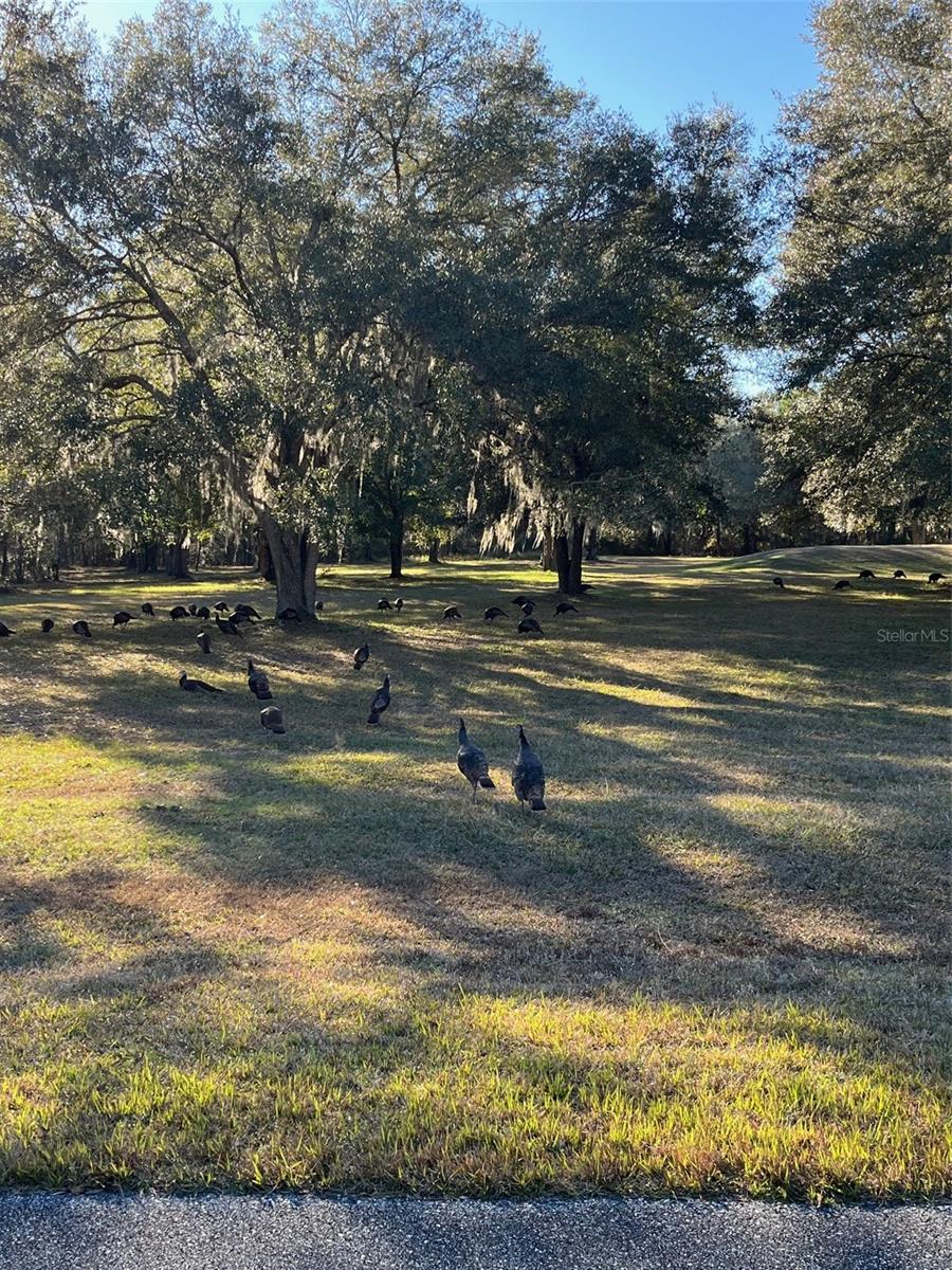 THE VILLAGE AT HIDDEN LAKES - Land