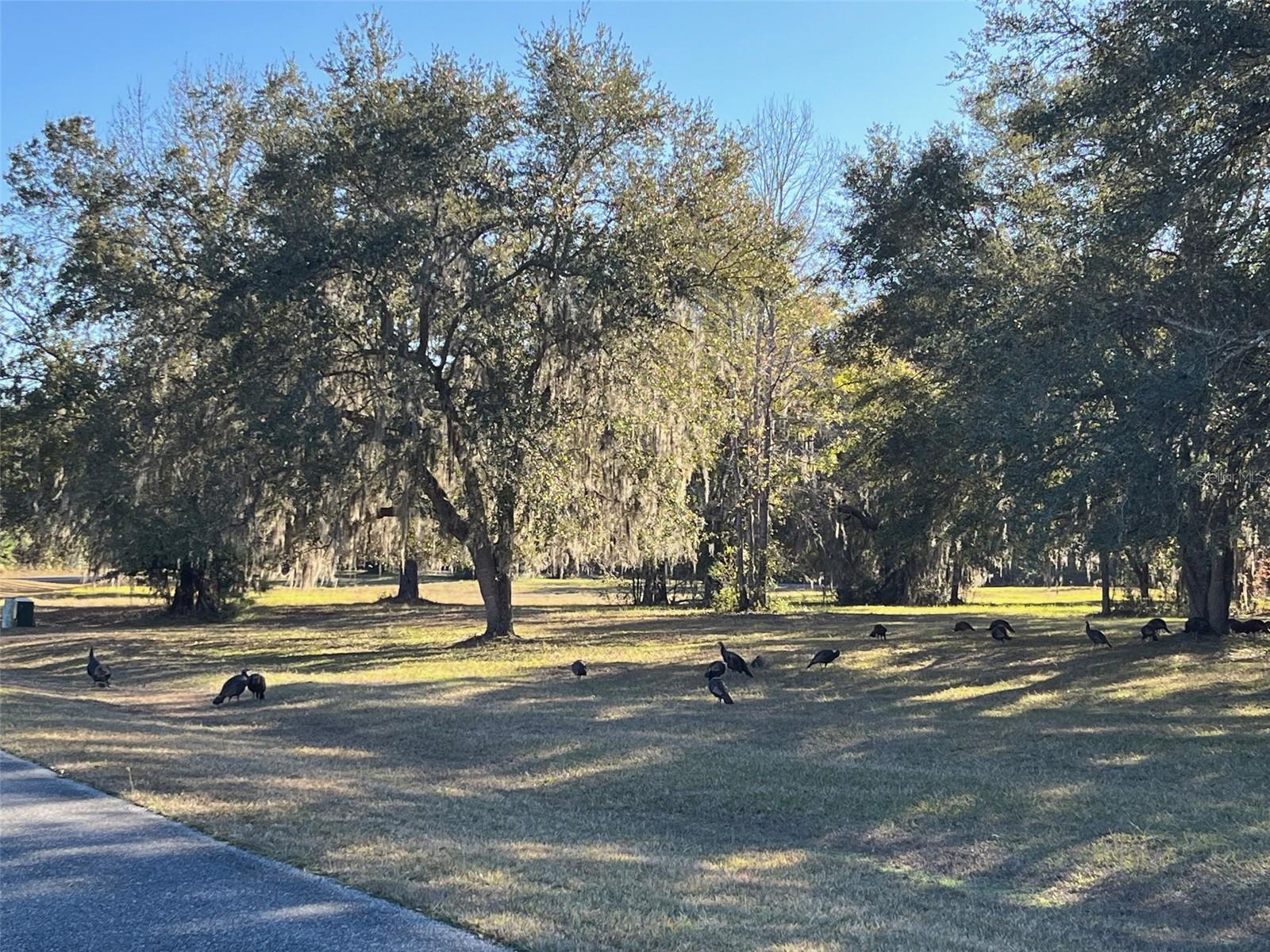 THE VILLAGE AT HIDDEN LAKES - Land