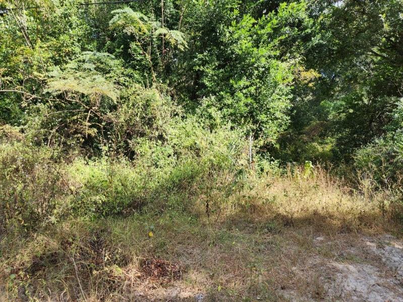 11911 LEROY SHEPPARD ROAD