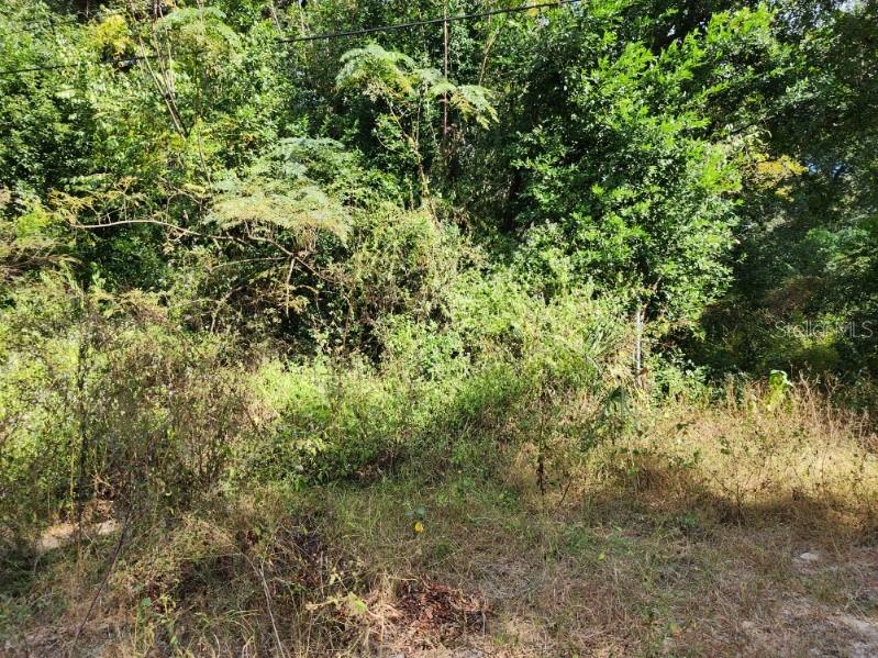 11911 LEROY SHEPPARD ROAD