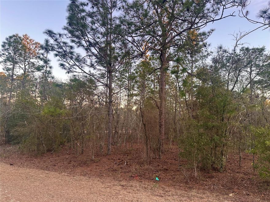 Welcome to peaceful, rural Rolling Hills, where you are surrounded by lovely homes and horse farms. I love the location of this .98 acre-lot on a short stretch of hard-packed dirt road, very close to all the paved roads. This is rural America at its finest. This private lot is only 17 minutes from the quaint town of Dunnellon with all of its restaurants and shops, 13 miles from the World Equestrian Center, 13 minutes from everything you could ever want in Ocala, and 13 miles to the crystal-clear Rainbow Springs for kayaking, tubing, and snorkeling any time of year! This lot has an open feel and I guess what struck me the most is just how quiet and peaceful -and even upscale- it feels but yet is so close to Ocala for the commuters. Easy to build on. Call today for details or to make an offer!