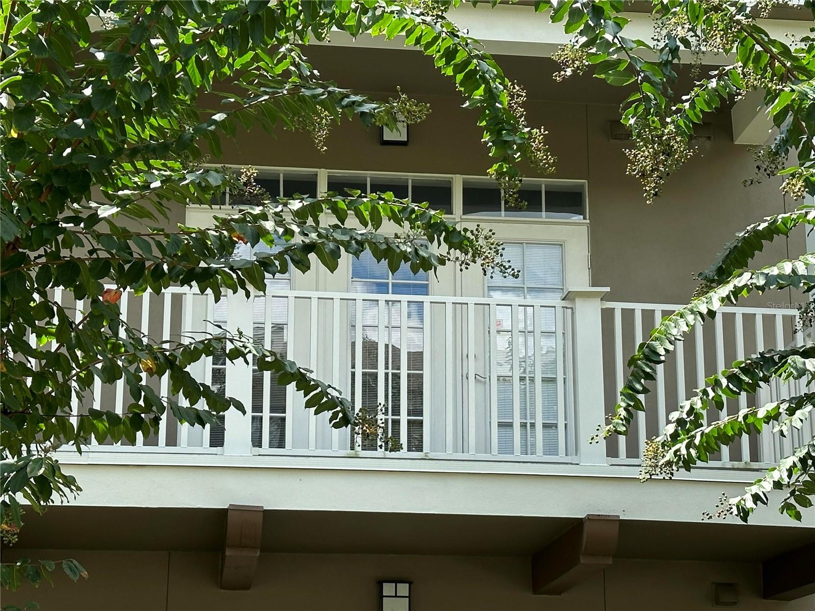 1400 CELEBRATION AVENUE 206