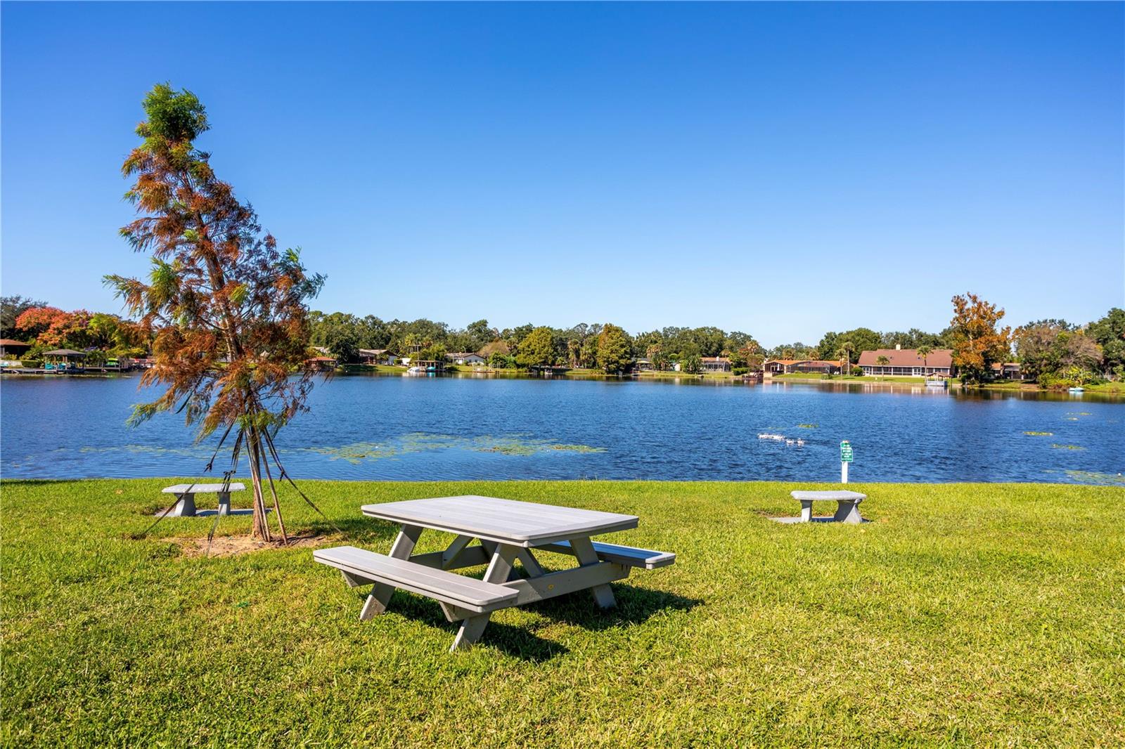 DESTINY SPGS CONDO - Residential