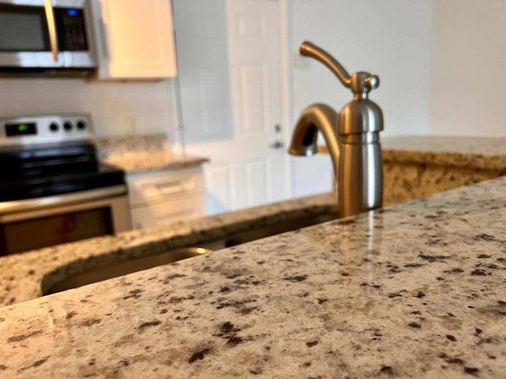 REGISTRY/MICHIGAN PARK CONDO - Residential Lease