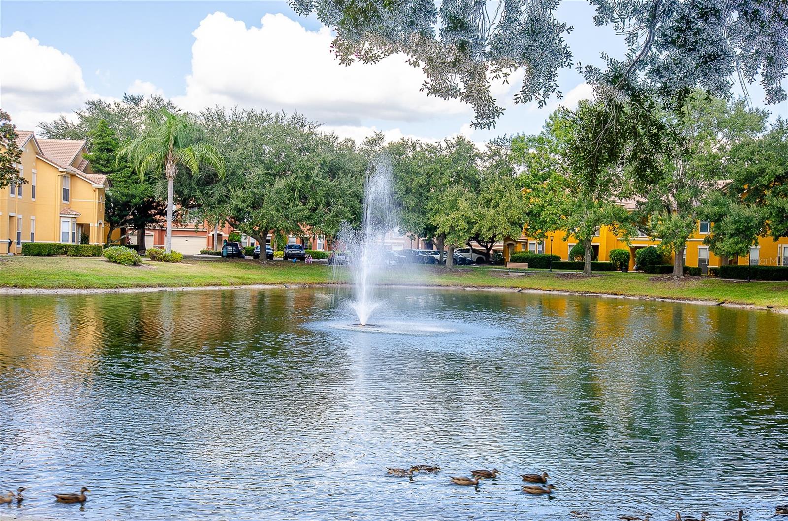 MIRABELLA - Residential