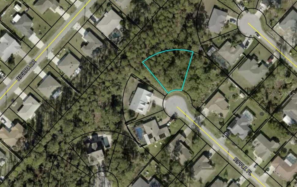 PALM COAST SEC 31 - Land