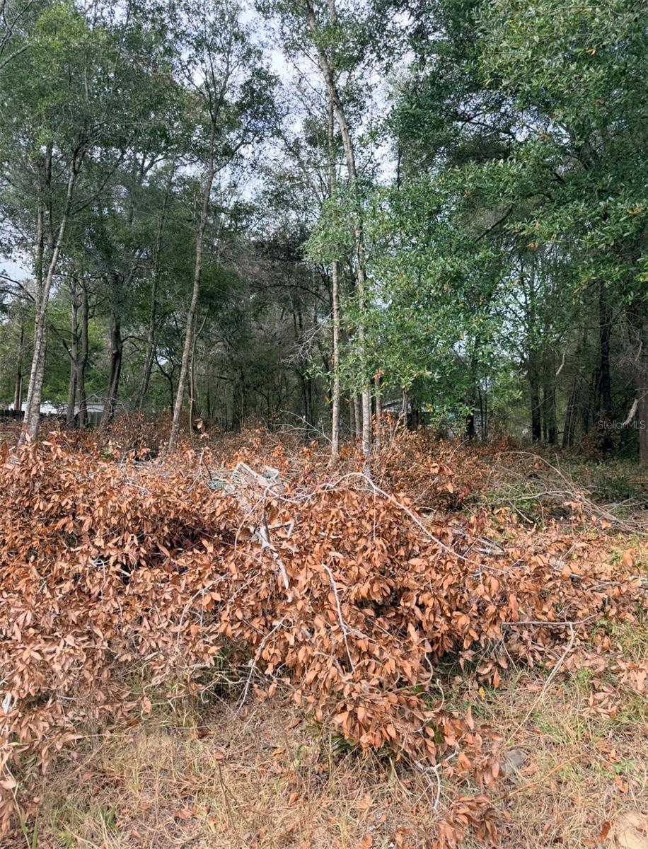 LAKEVIEW ESTATES - Land