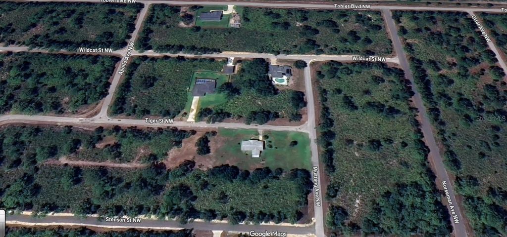 Photo of 444 Tiger Street NW, Lake Placid, FL 33852 (MLS # O6357002)