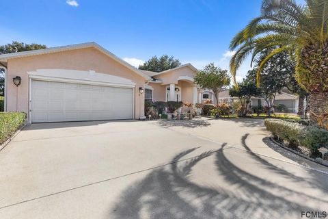 A home in PALM COAST