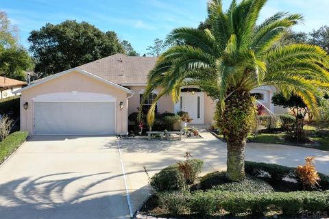 A home in PALM COAST