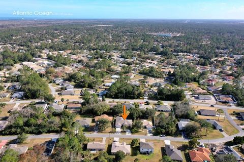 A home in PALM COAST