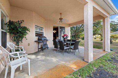 A home in PALM COAST