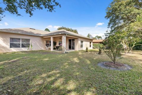 A home in PALM COAST