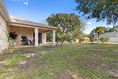 A home in PALM COAST