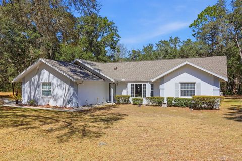 Photo of 1737 W Olympia Street, Hernando, FL 34442 (MLS # OM719638)