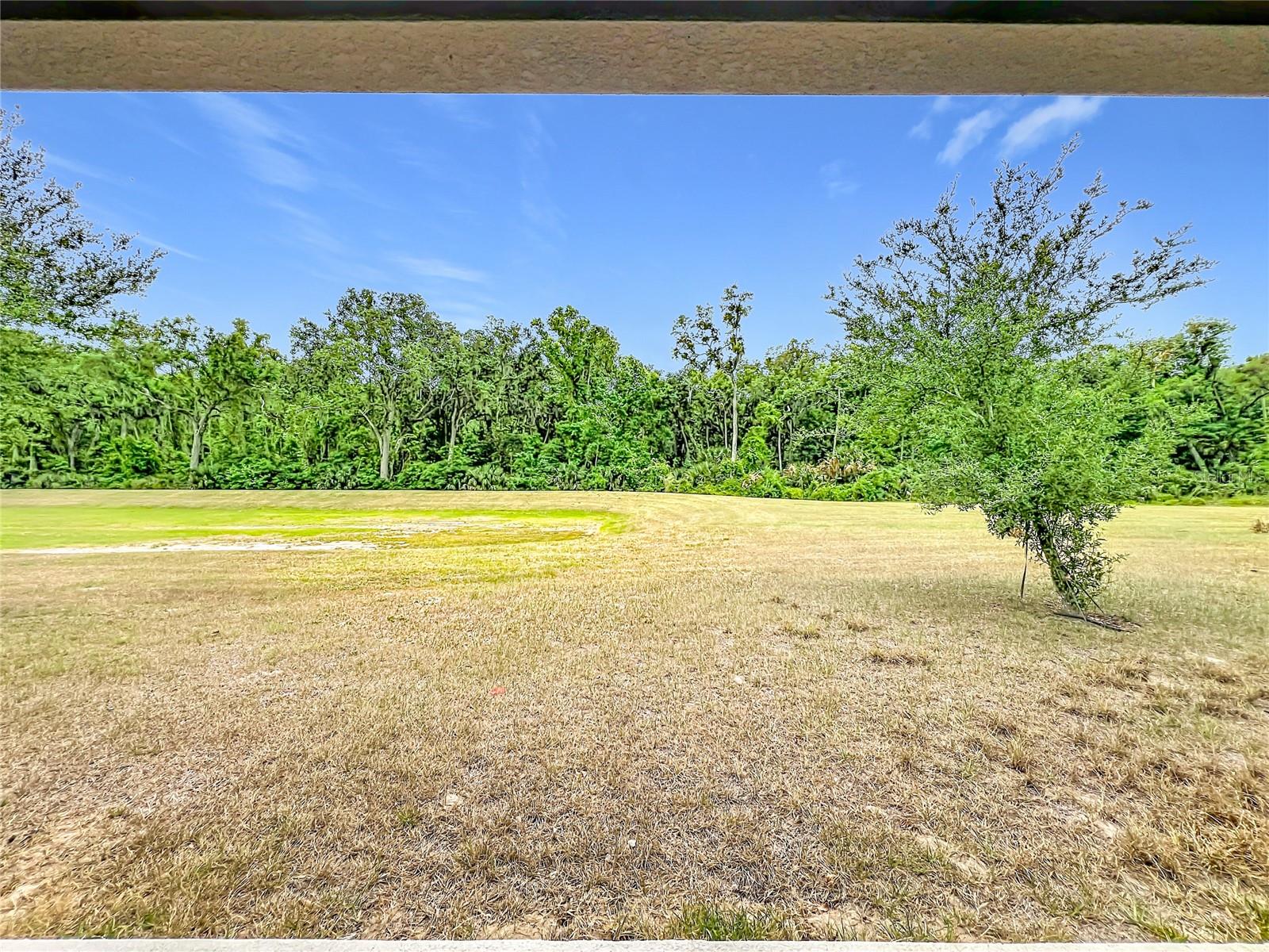 LAKE DENHAM ESTATES - Residential