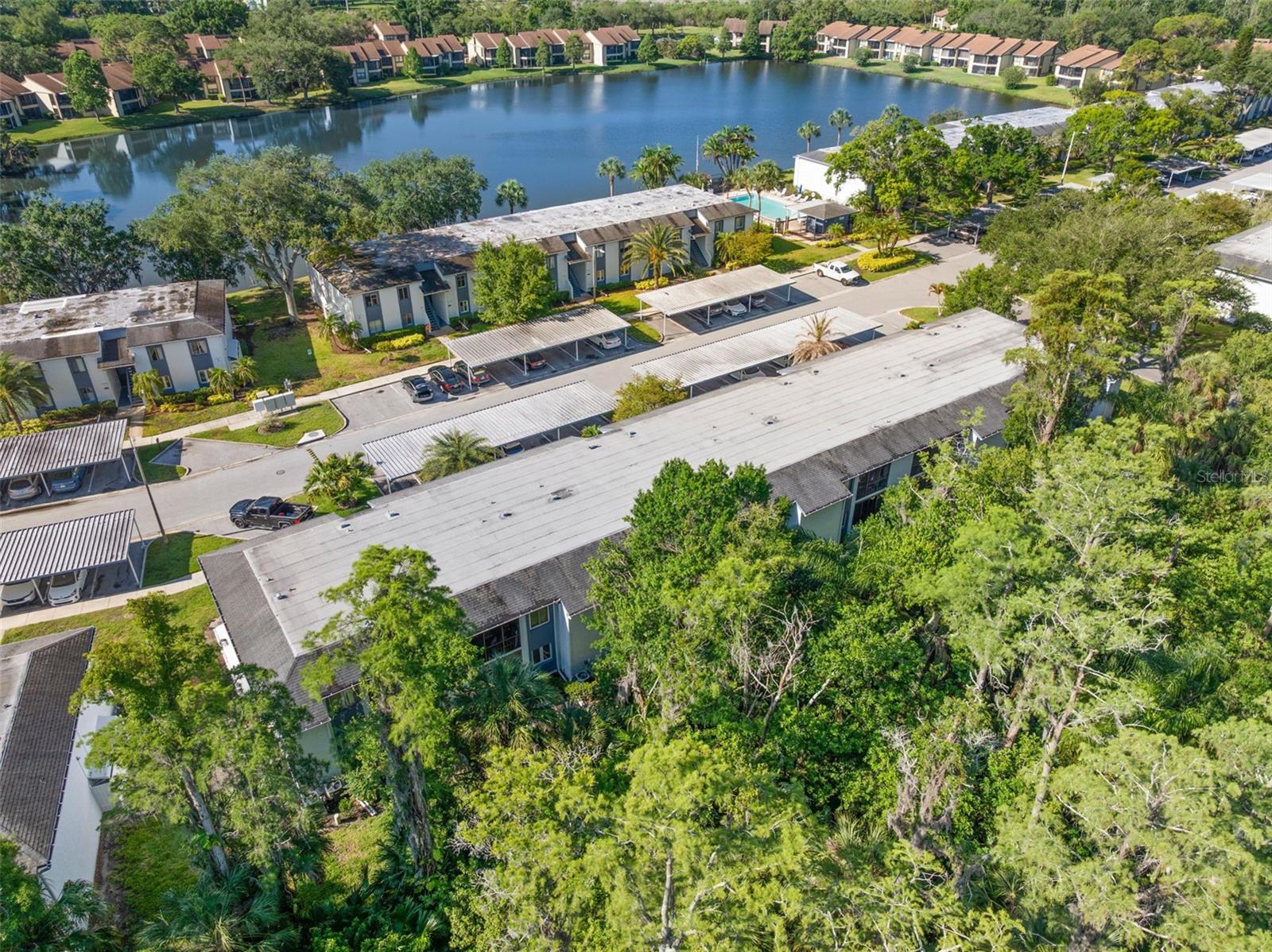 EAST LAKE WOODLANDS CYPRESS ESTATES - Residential
