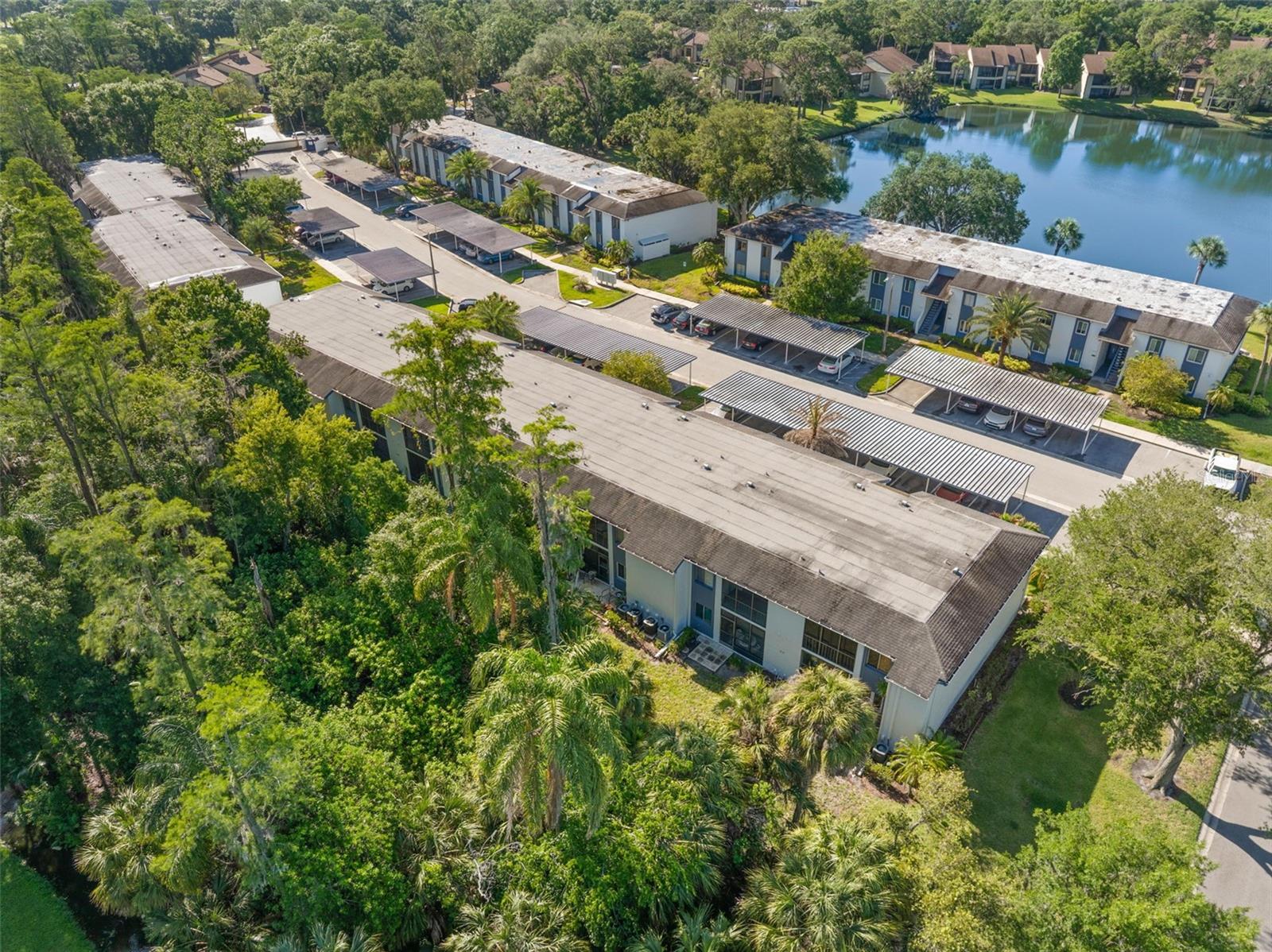 EAST LAKE WOODLANDS CYPRESS ESTATES - Residential