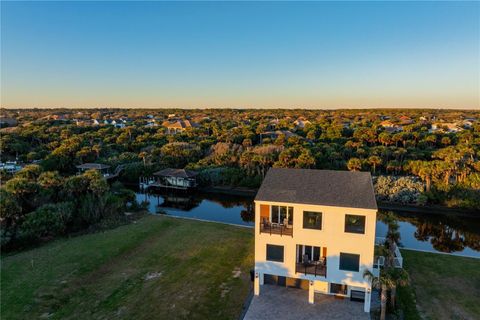 A home in PALM COAST