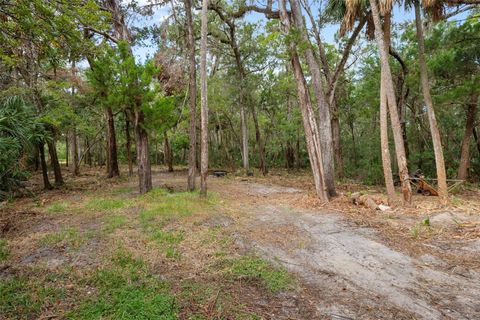 Tiny photo for 6176 S Hancock Road, Homosassa, FL 34448 (MLS # OM712815)