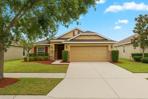 14224 EDINBURGH MOOR DRIVE WIMAUMA FL 33598