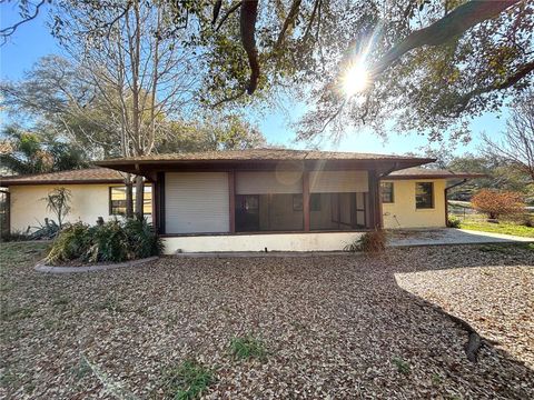 Tiny photo for Clermont, FL 34711 (MLS # O6387000)