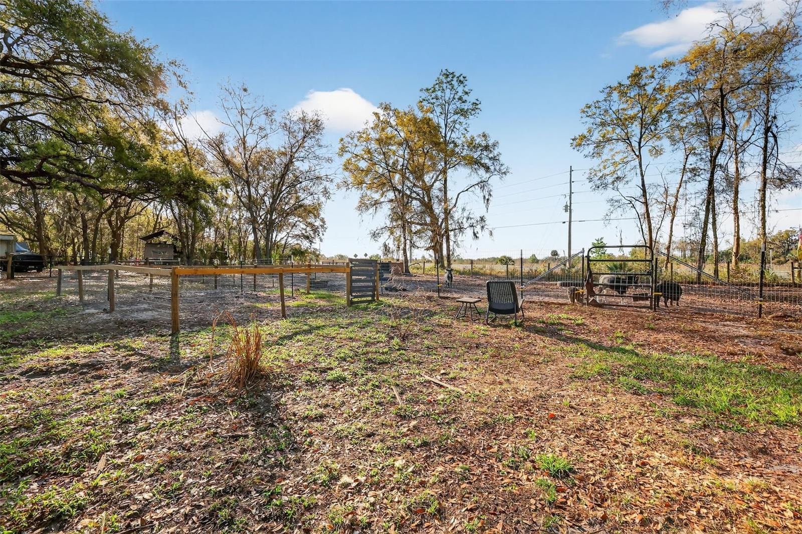PAISLEY PARK - Residential
