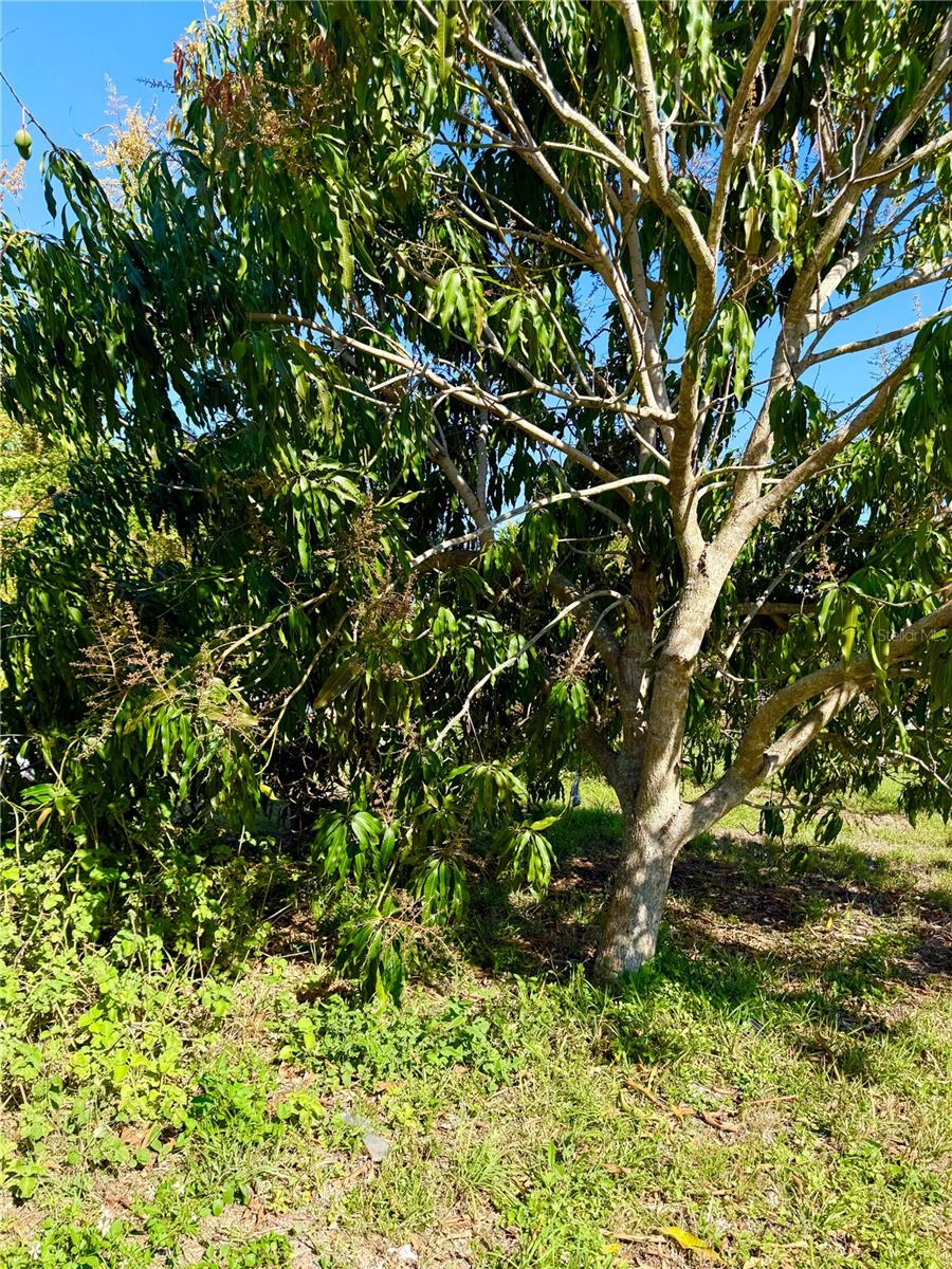 PORT CHARLOTTE SEC 018 - Residential