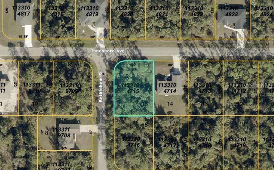 Discover the perfect opportunity to build your Florida dream home on this spacious Lot 15 on Jonesboro Ave in the growing city of North Port. Nestled in a peaceful area surrounded by natural beauty, this residential lot offers a quiet setting while still being close to shopping, dining, schools, and major roadways. Enjoy the freedom of no HOA and no deed restrictions, giving you flexibility in your future home design. North Port is one of the fastest-developing communities in Southwest Florida, known for its friendly neighborhoods, parks, warm mineral springs, and easy access to I-75. Whether you're looking to build now or invest for the future, this lot provides the ideal balance of privacy, convenience, and long-term potential. Don’t miss the chance to secure your spot in this desirable and expanding area of North Port.