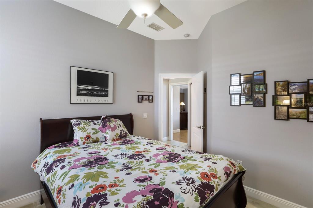 SHAWS POINT - Residential