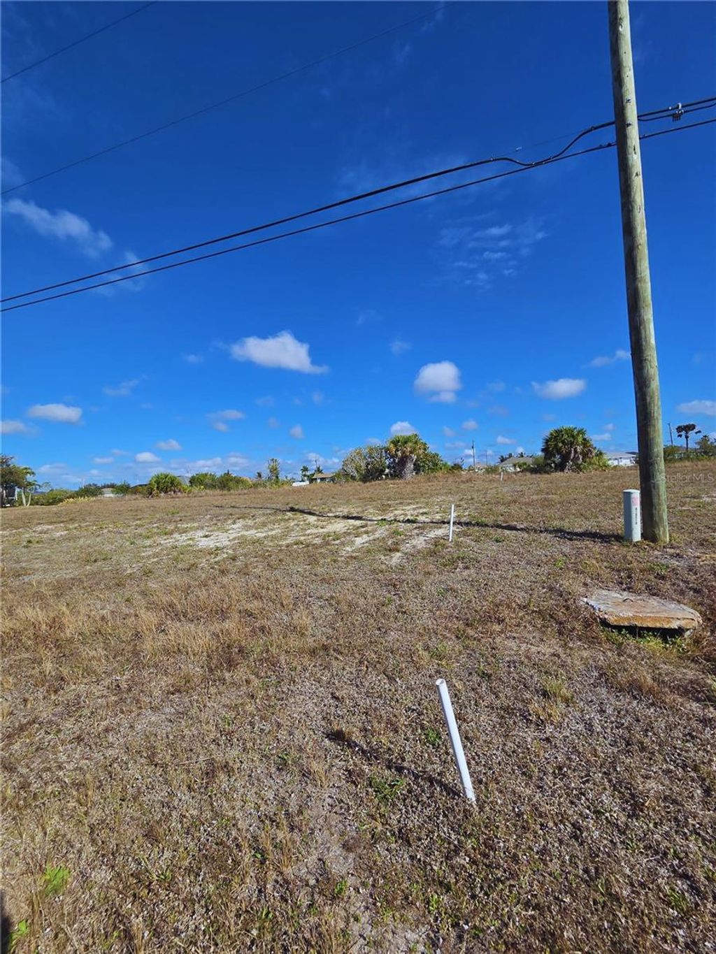 Photo of 1029 NW 18th Street, Cape Coral, FL 33993 (MLS # C7522812)