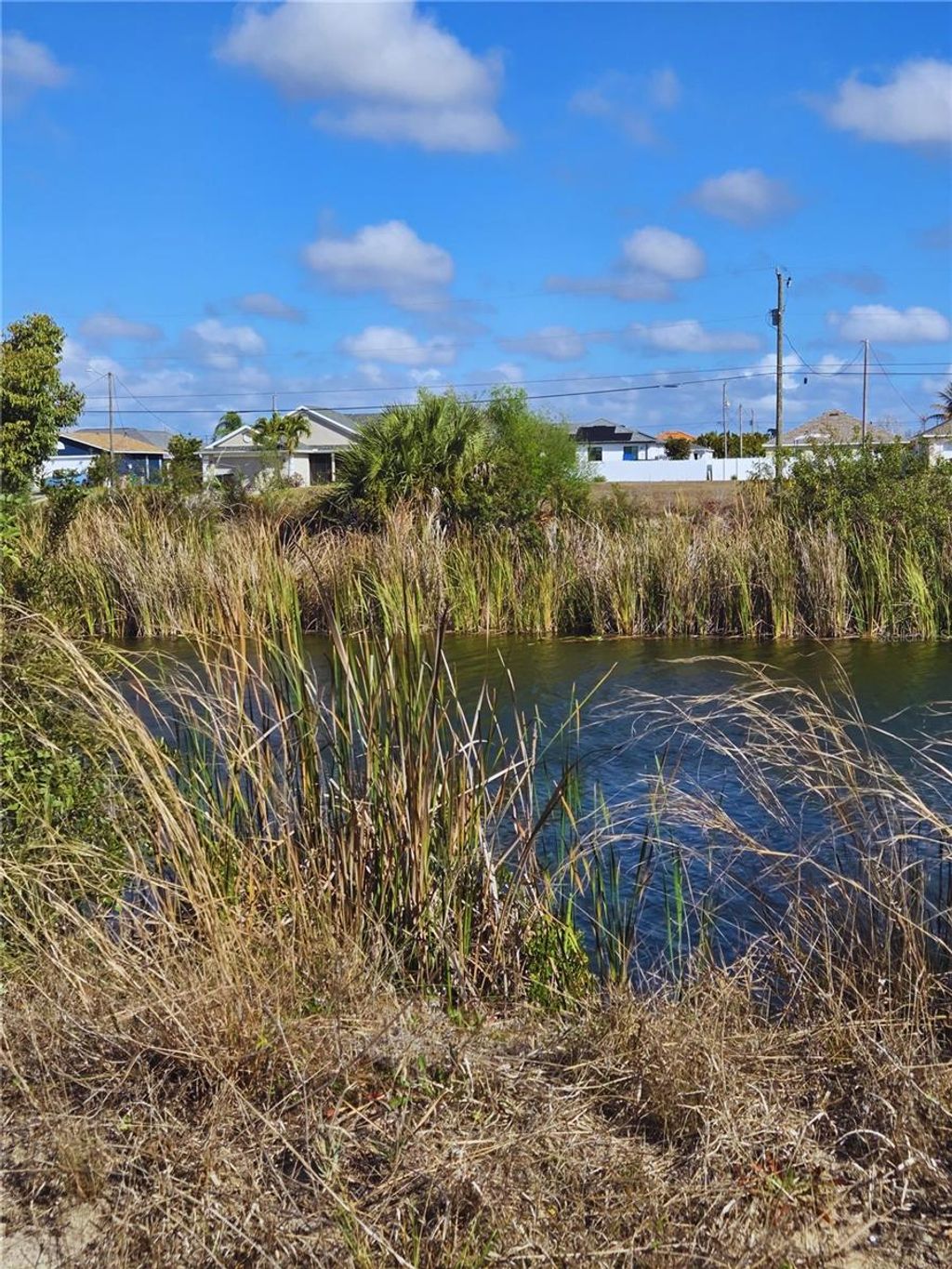 Photo of 1029 NW 18th Street, Cape Coral, FL 33993 (MLS # C7522812)